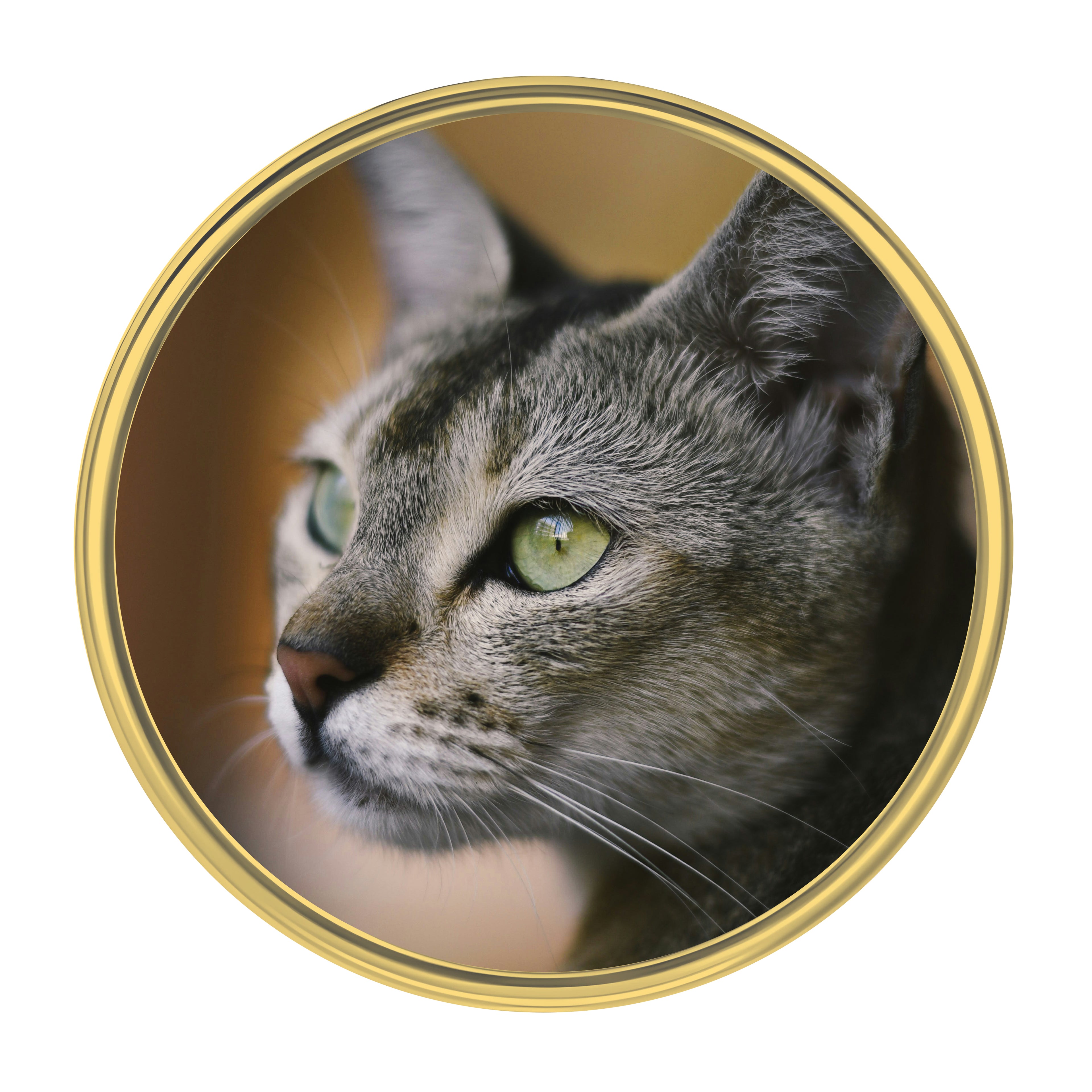 Personalised Photo Lapel Pin Badge