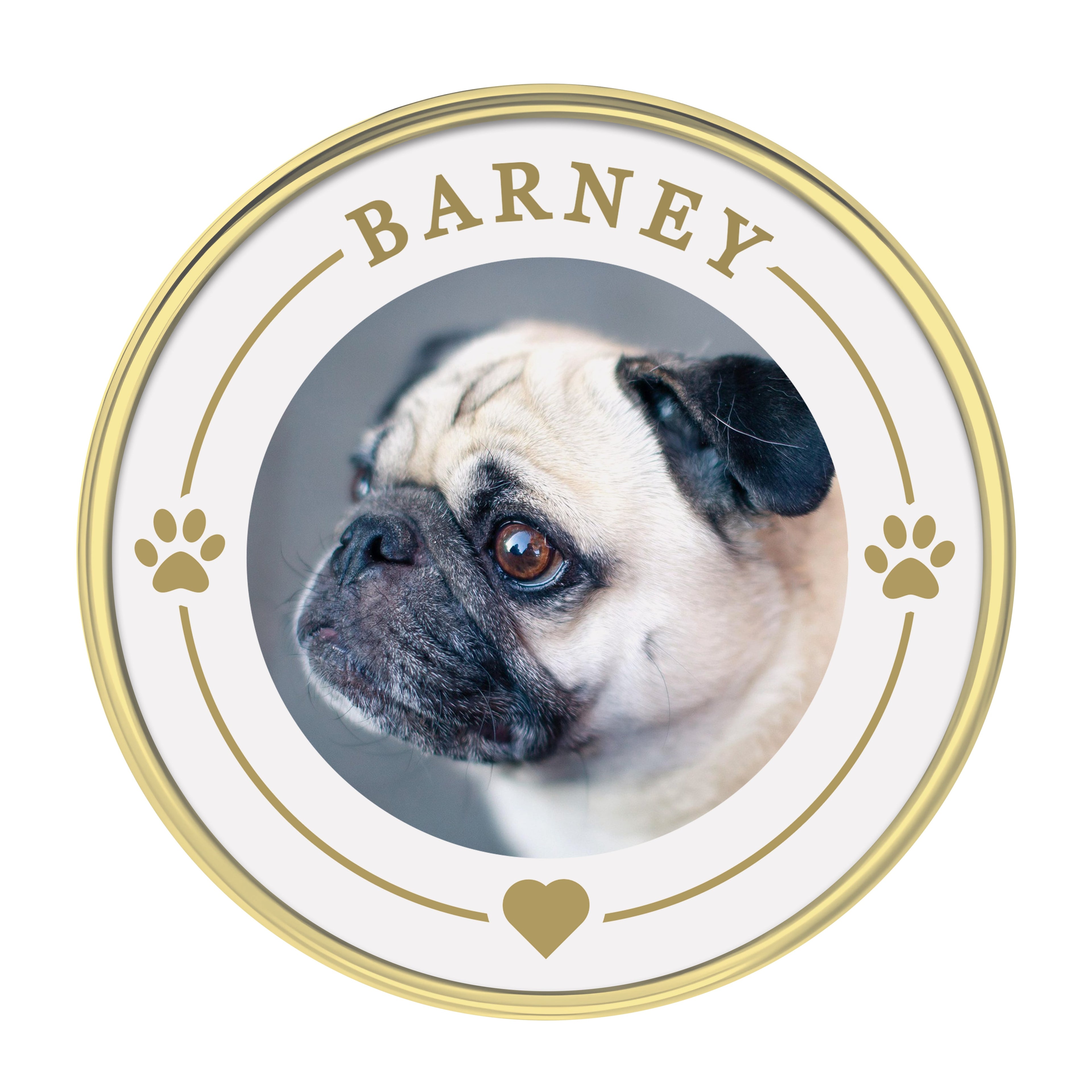 Personalised Pet Photo Lapel Pin Badge