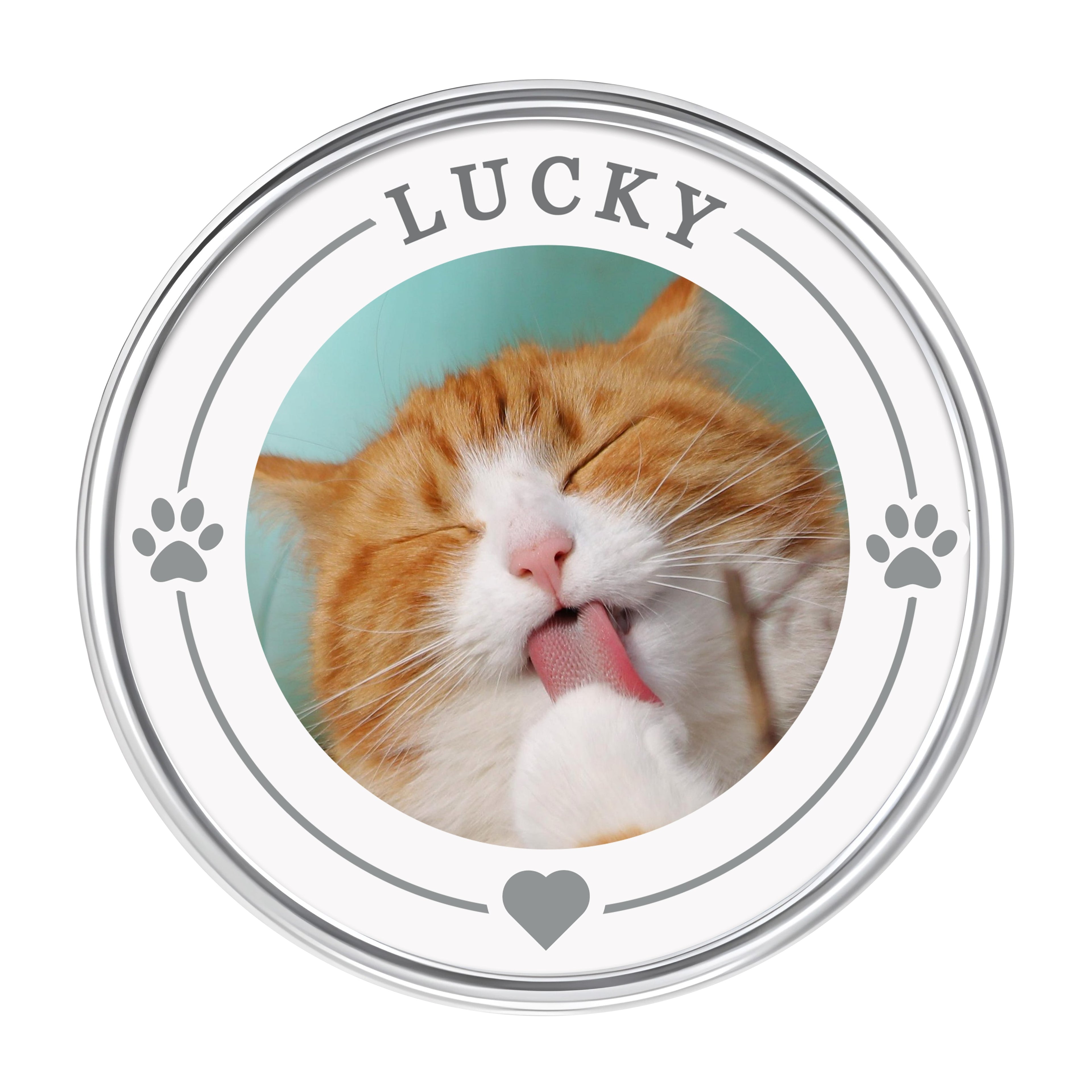 Personalised Pet Photo Lapel Pin Badge